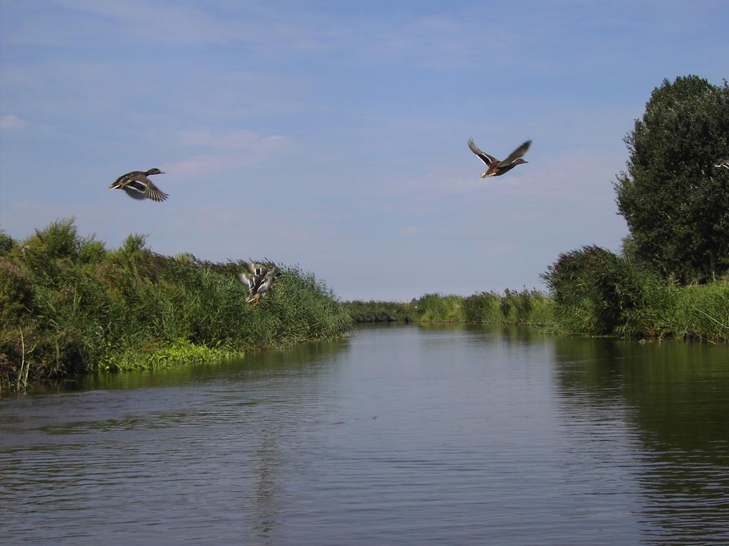 De Energiek Bed & Breakfast Wehe-den Hoorn Luaran gambar